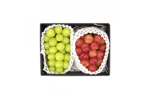 2025年発送 シャインマスカット&マイハート詰合せ 2房(1.2kg相当