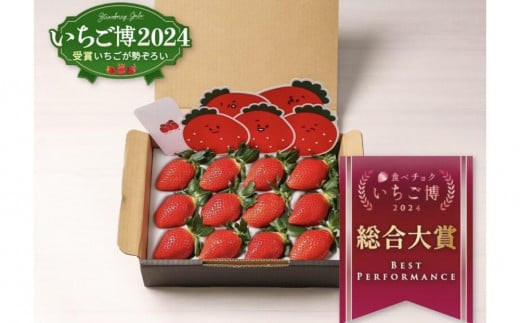 いちご博総合大賞】やよいひめ 約400g | いちご 苺 イチゴ