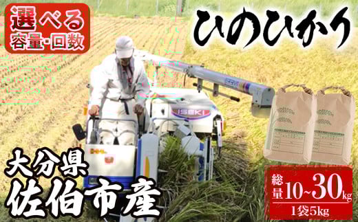 y啪szeʁE͂񐔂Iׂ遄ߘa7NYVā啪Ђ̂Ђ (10kg`30kg)   10kg 15kg 30kg 3 6 3 6 Ђ̂Ђ qmqJ   V 啪