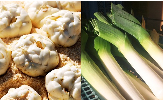 北海道真狩村産 ゆり根とリーキ【2025年産】【0114101】 - 北海道真狩 北海道真狩村産 ゆり根とリーキ【2025年産】【0114101】 - 北海道真狩