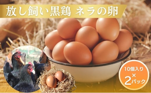 ys{Osz[5334-0453] { l̗ 20 ܂  { ʎq Os s{