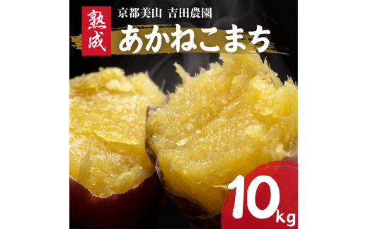 ys{Osz[5334-0486]Yn ܂ 10kg n ˂܂ sOgY y\񏤕i25N12菇z