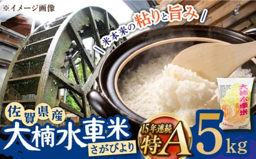 yꌧYszycc̎̂āIzߘa7NY V 퐅ԕ т 5kg /ؒ܂Â萄ic [UBY002] ԕ      ͂