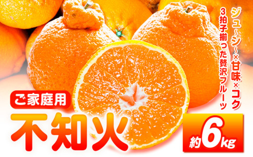 ya̎R쒬zys\zyƒpzIBLcY sm ( ʂ )  6kg Ћ s2{-3{oׁt a̎R 쒬 sm ݂ k ʕ t[c fR|