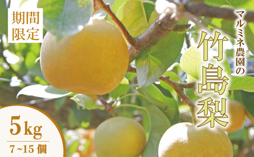 数量限定 早期受付 】マルミネ農園 の 竹島梨 5kg （7～15個） 国産