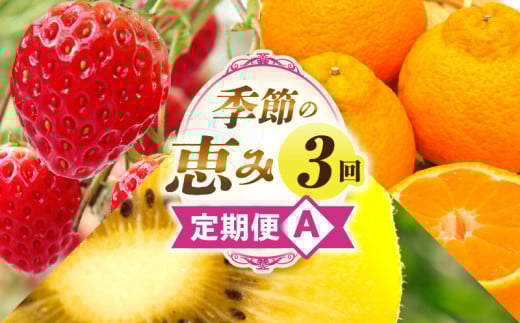 y쌧OؒzG߂̌b3A | ʕ t[c  ʕ fU[g XC[c ʎ { G {̉ʕ G߂̉ʕ NHi N  蕨 Mtg v[g  j