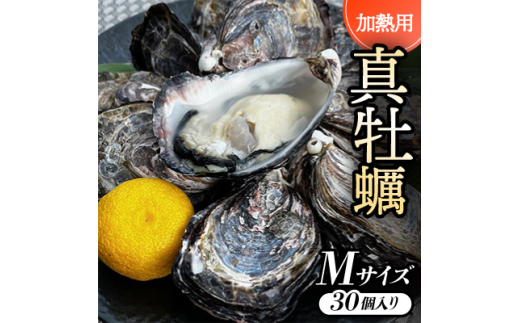 y{zMTCY30:60`41g/Mp^y@[ICX^[t@[@piCtt@y1570850z
