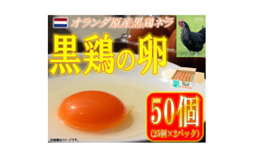 yzJ{X@{̗@50(MTCY)y1503069z