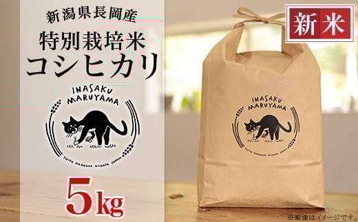 yVszL4-K051AVY ʍ͔|ăRVqJ 5kg