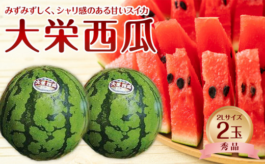 733.【先行予約】【JA】大栄西瓜 秀2L×2玉 ※着日指定不可