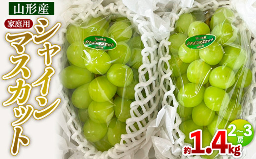 yR`R`szyƒpzVC}XJbg 1.4kg 2`3[ yߘa8NYs\zFS25-587  ʕ t[c R` R` R`s 2026NY