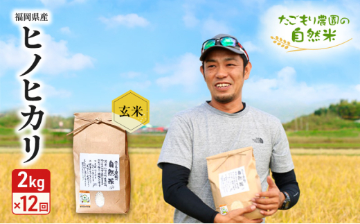 ySsz 12  _̎R qmqJ  2kg  12