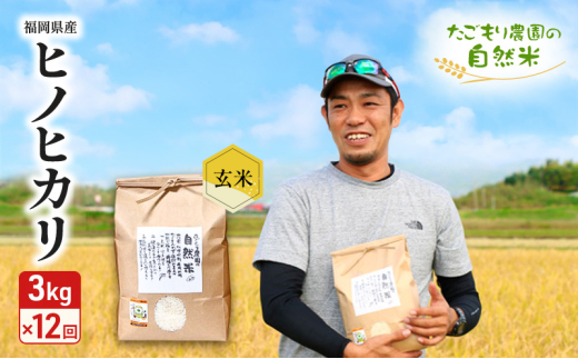 ySsz 12  _̎R qmqJ  3kg  12