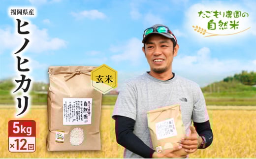 ySsz 12  _̎R qmqJ  5kg  12