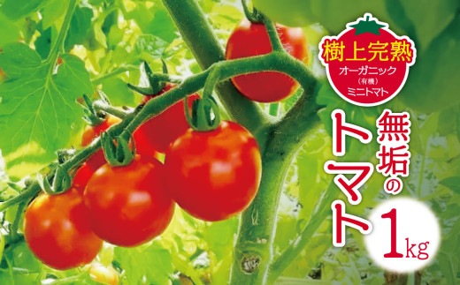 先行受付】無垢のトマト（樹上完熟オーガニック(有機)ミニトマト）1kg