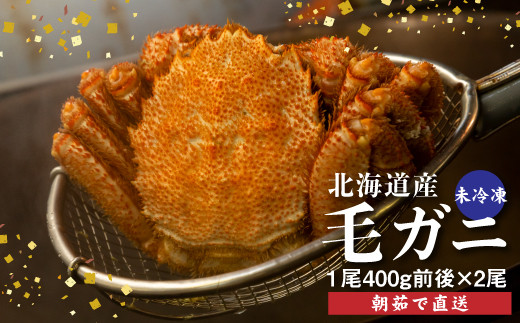 配達地域限定】『冷蔵』朝茹で直送毛ガニ400g前後×2杯【52001004
