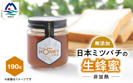 ふかざわ農園の日本ミツバチの生蜂蜜 100%で濃厚な味わい＜非加熱・無