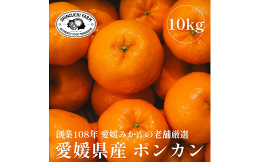 yQlsznƕSN Q݂̘V܁|J10kgƒpV_G70-25y1470663z