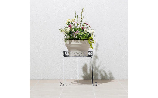 ya̎RCsz98918800 fUCt[X^h Eh M 38.5cm×s38cm×35cm