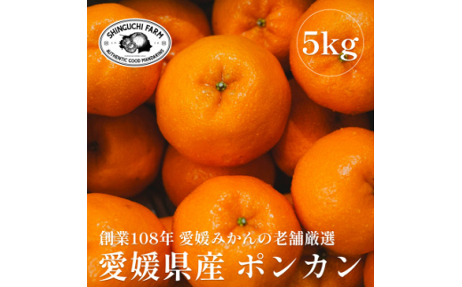 愛媛県産レモン 3kg<防腐剤・ワックス不使用>新口農園<C70-20 愛媛県産レモン 3kg<防腐剤・ワックス不使用>新口農園<C70-20