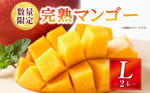 y{茧{szs2026Ns\tyʁEԌzn}S[ LTCY 2_M354-002-01