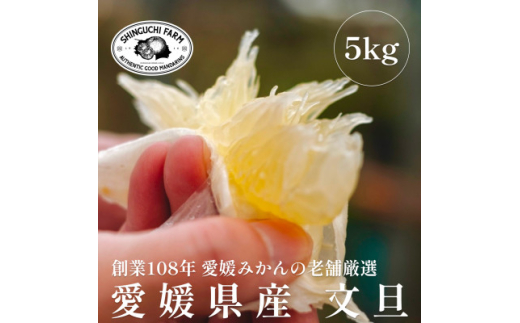 愛媛県産レモン 3kg<防腐剤・ワックス不使用>新口農園<C70-20 愛媛県産レモン 3kg<防腐剤・ワックス不使用>新口農園<C70-20