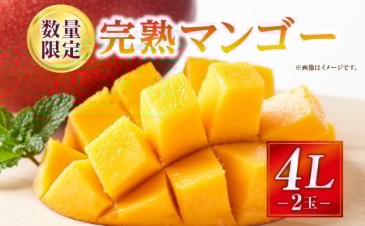 y{茧{szs2026Ns\tyʁEԌzn}S[ 4LTCY 2_M354-002-04