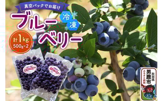 【秋田県男鹿市】【男鹿ぶるーべりーガーデン】 冷凍ブルーベリー 500g×2パック(合計1kg)秋田県 男鹿市