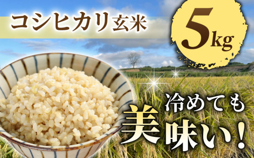 令和7年産新米予約【長野県東御市産】信州特A米コシヒカリ玄米5kg 