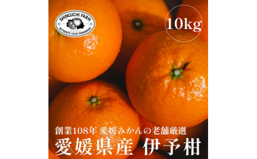 yQlsznƕSN Q݂̘V܁ɗ\10kgV_G70-13y1470714z