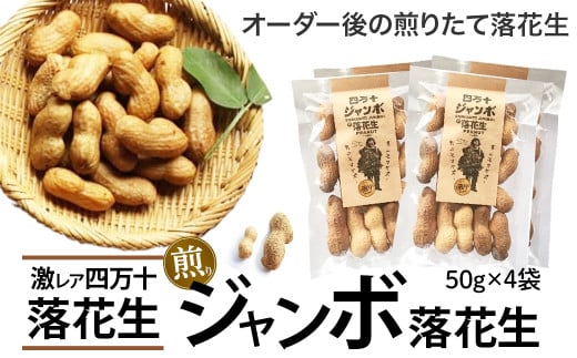 yml\zV@AIl\W{藎Ԑ 肽ăI[_[ Fsy-09 s[ibc s[ic W{s[ibc ܂ r[̂ Y 