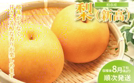 ytszsY iVj 5kg qs\ 2026N8{r q t[c ʕ Ȃ { Y Yn tY   VN fU[g  r