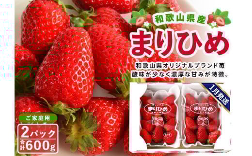 ya̎R쒬zyƒpiȈՕjza̎RY܂Ђ 1i2pbNjy2026N1͂zmMG59n