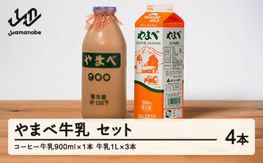 山形県産 やまべ牛乳セット (牛乳 1L×3・コーヒー牛乳 900ml×1) F20A