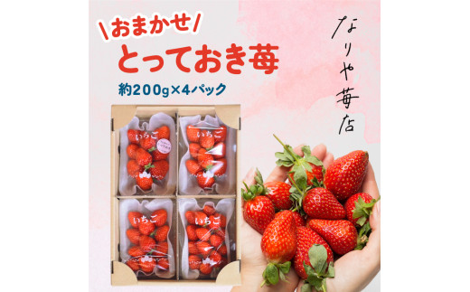 MI-03 とっておき苺【約200g×4パック】 - 鳥取県大山町｜ふるさと