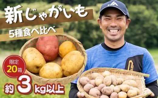 本日収穫 新じゃが とうや サイズ不選別 じゃがいも 茨城県産 20kg 本日収穫 新じゃが とうや サイズ不選別 じゃがいも 茨城県産