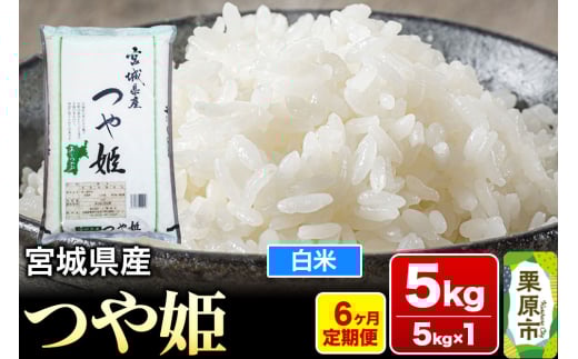 y{錧Iszs6tyߘa7NYEāz{錧Y P 5kg (5kg×1)×6