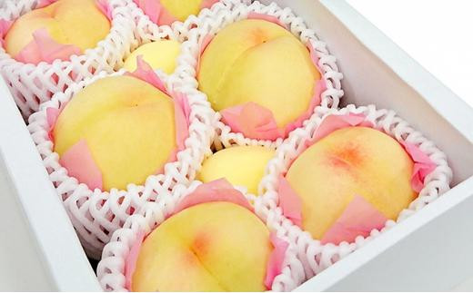 yRRszR̓@5`6ʁi1kgj2026N