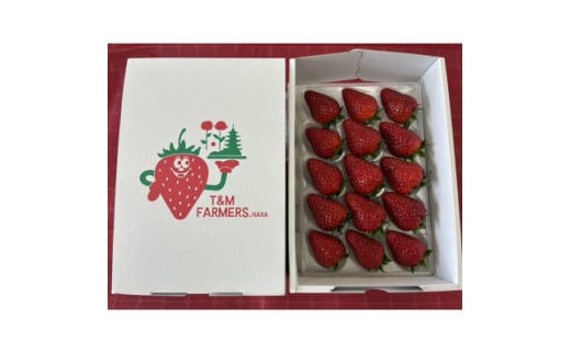 yޗǌz@Ós؁EƂ 1pbN(8`15)y1605677z