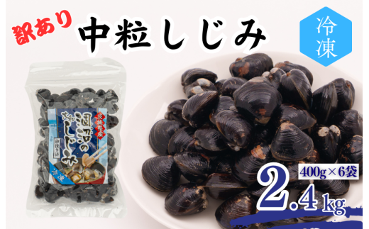 y錧gcsz󂠂 Y  i2.4kgj