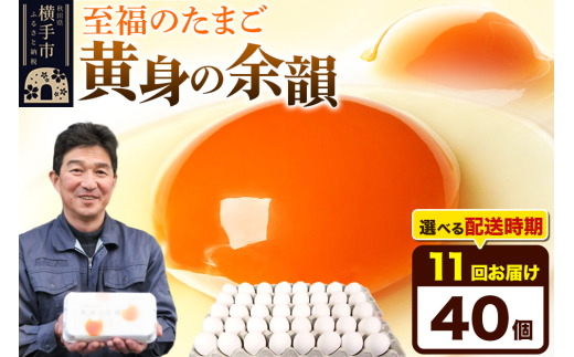 yHcszy퉷zs11tg̗]C 40iƖpjyIׂzCї{{ g̗]C  ʎq ܂ ^}S 11 11 11J 11P JnIׂ