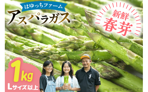 y茧ދnzAXp AXpKX tAXpKX 1kg L TCYȏ [͂FARM 茧 ދn hs42bag360013] AXp ς VN t