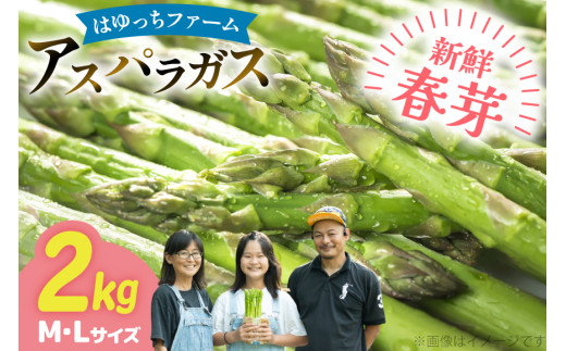 y茧ދnzAXp AXpKX tAXpKX 2kg M L TCY [͂FARM 茧 ދn hs42bag360014] AXp ς VN t