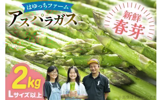 y茧ދnzAXp AXpKX tAXpKX 2kg L TCYȏ [͂FARM 茧 ދn hs42bag360015] AXp ς VN t