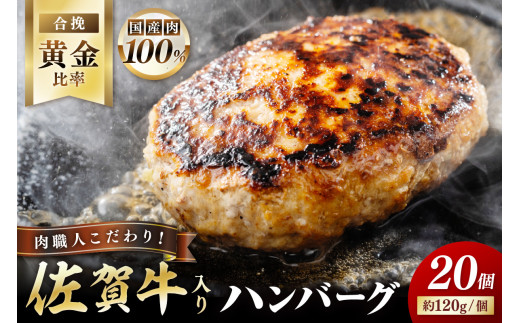 yꌧɖszꋍ  no[O 120g×20 180-J1349