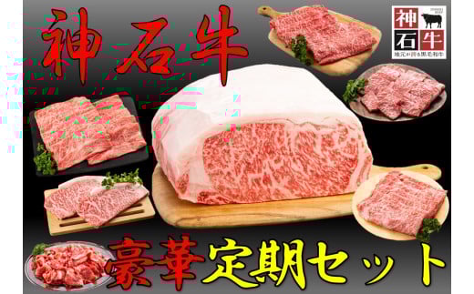 【広島県神石高原町】神石牛 ステーキ・焼肉・薄切り・ブロック 豪華定期セット