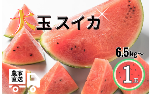 大玉スイカ 1玉（6.5kg以上） - 茨城県鉾田市｜ふるさとチョイス