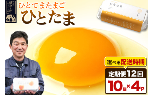 常温発送】《定期便12ヶ月》ひとたま 10個×4P【発送時期が選べる