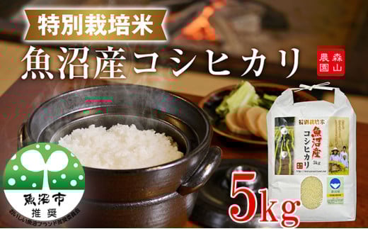 yVsz[5762-0202]ߘa7NY XR_ ʍ͔|ċYRVqJiVF؁j 5kg 