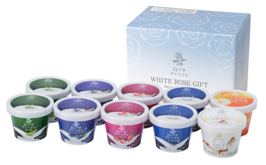 y挧RzMS-74@RƂ̃ACXN[lߍ킹unՁvi10j